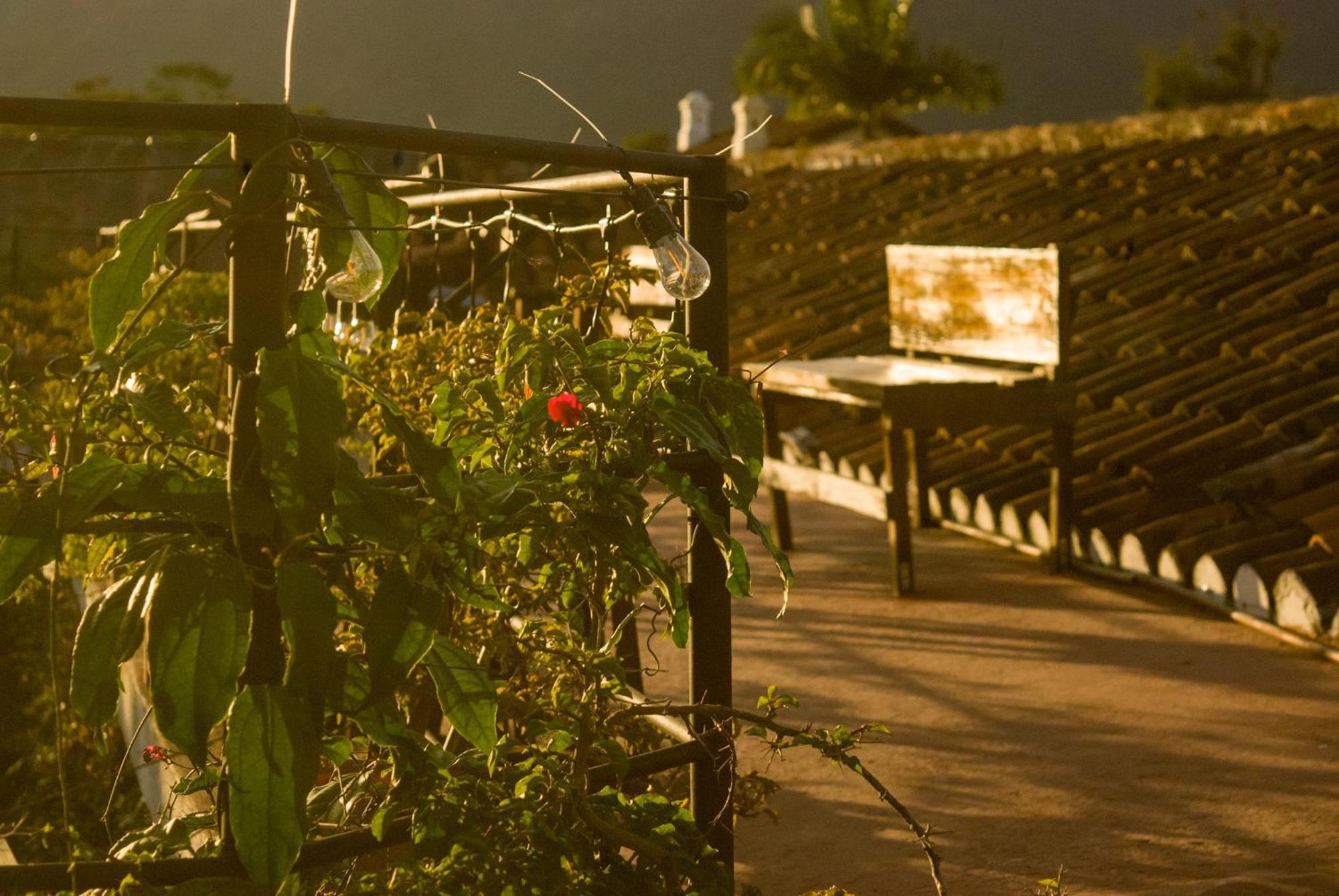 Tzunun Hostel Antigua Dış mekan fotoğraf
